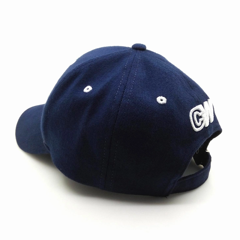 Casquette de baseball sport 6 panneaux avec broderie 3D personnalisée en coton