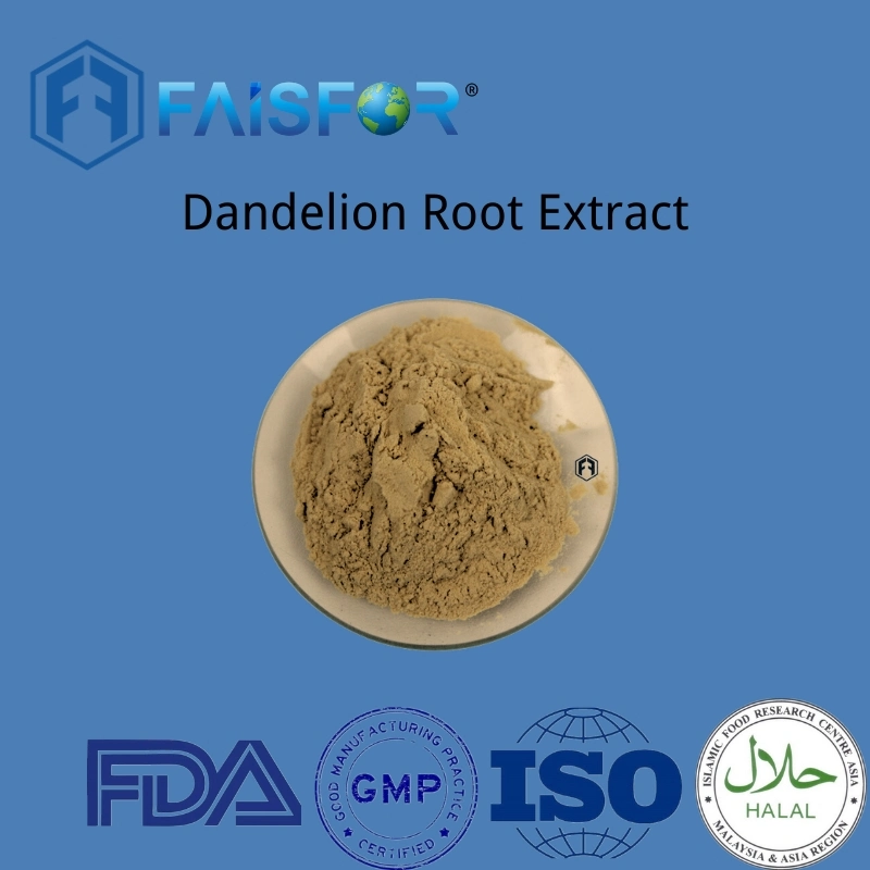 Best Price Dandelion Extract Factory Directly Supply Dandelion Root Extract Powder