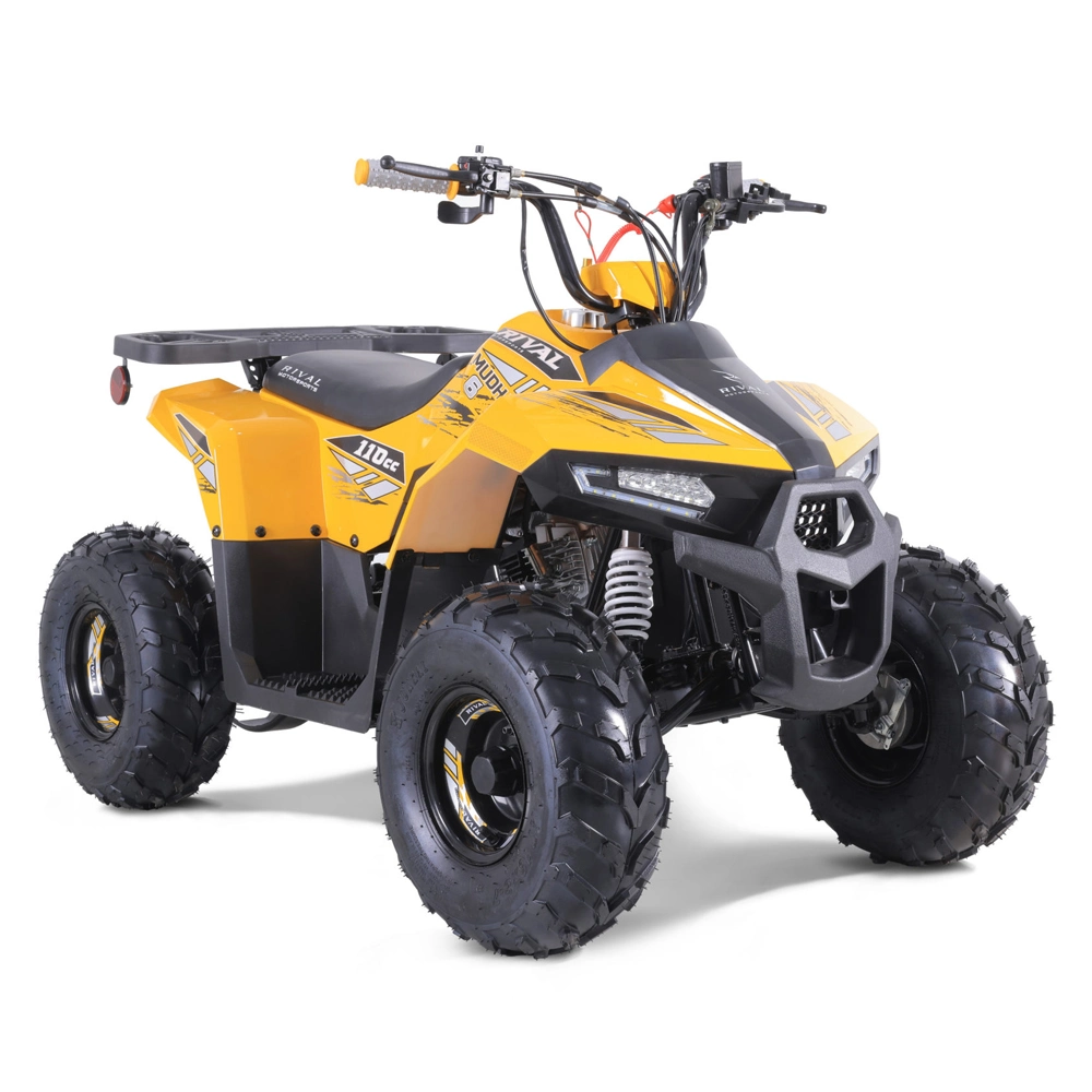 Hot Sales Chain Drive Automatic Quad Bike 110cc ATV for Kids