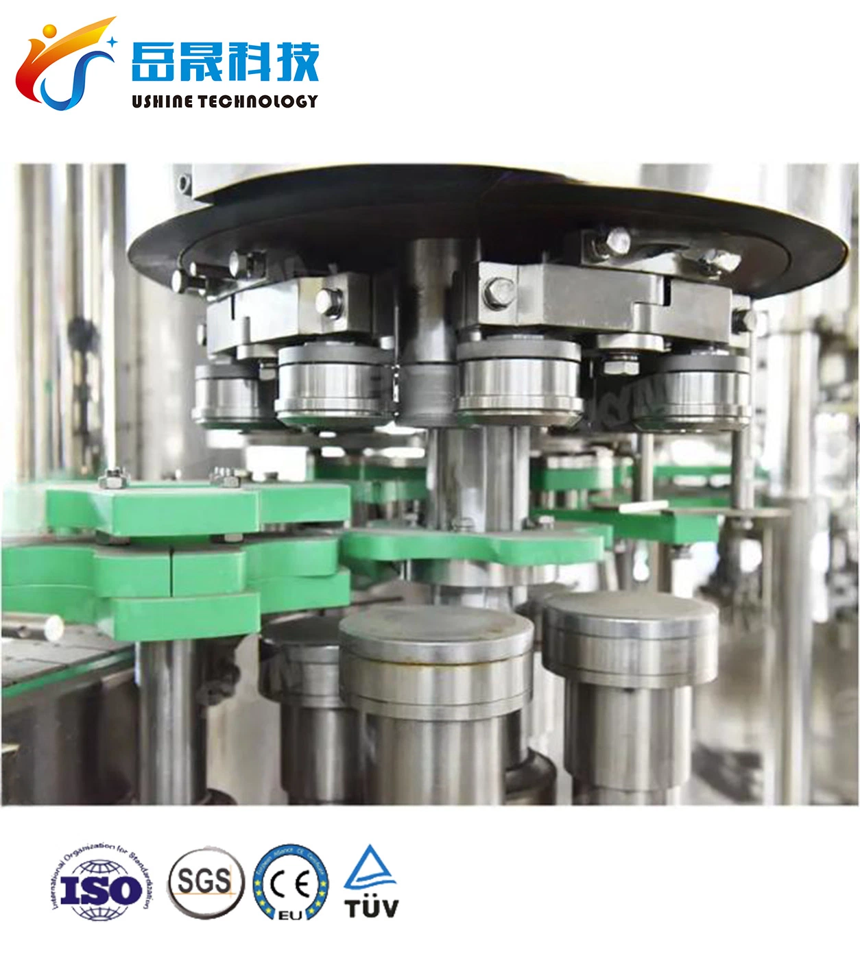 Automatic Liquid Detergent Juice Sauce Paste Doypack Capping and Spout Pouch Filling Machine