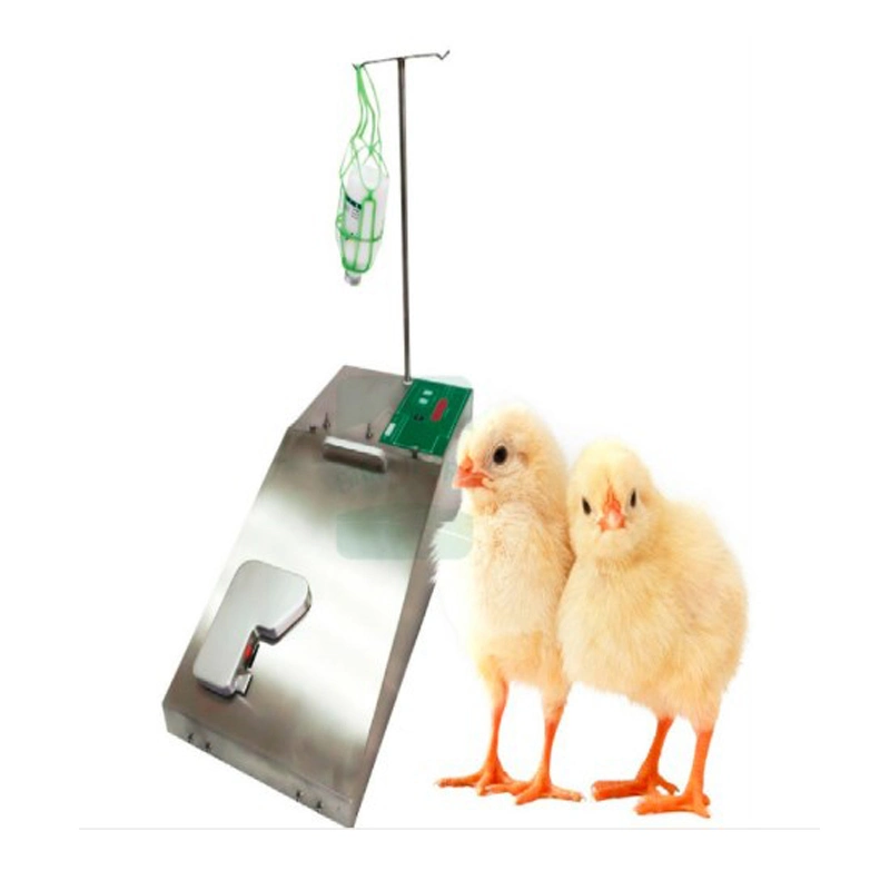 Chick Vaccination Automatic Vaccination Machine Electric Vaccination Injector for Poultry