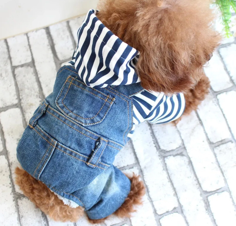 Fashion Pet Clothing Design Denim Hoodies Bodysuits Outerwear Dog Jeans Jackets