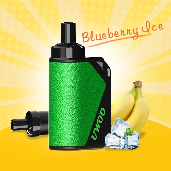 Shenzhen Smoking Device Vaping Disposable/Chargeable Pen Fruit Juice Vaper Ecig