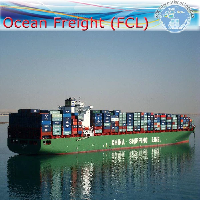 Cheapest Ocean Shipping International Freight Forwarder Freight to Sea Fright From China to Australia