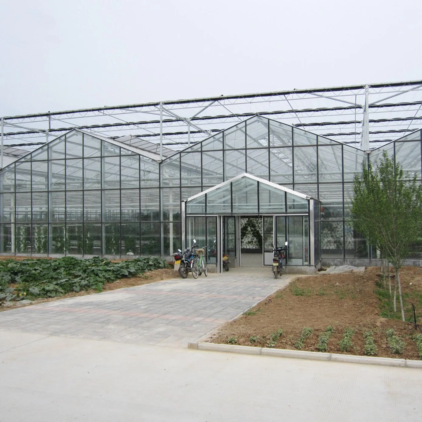 2023 Great Performance Agricultural Glass Greenhouse for Hydroponics Vegetables