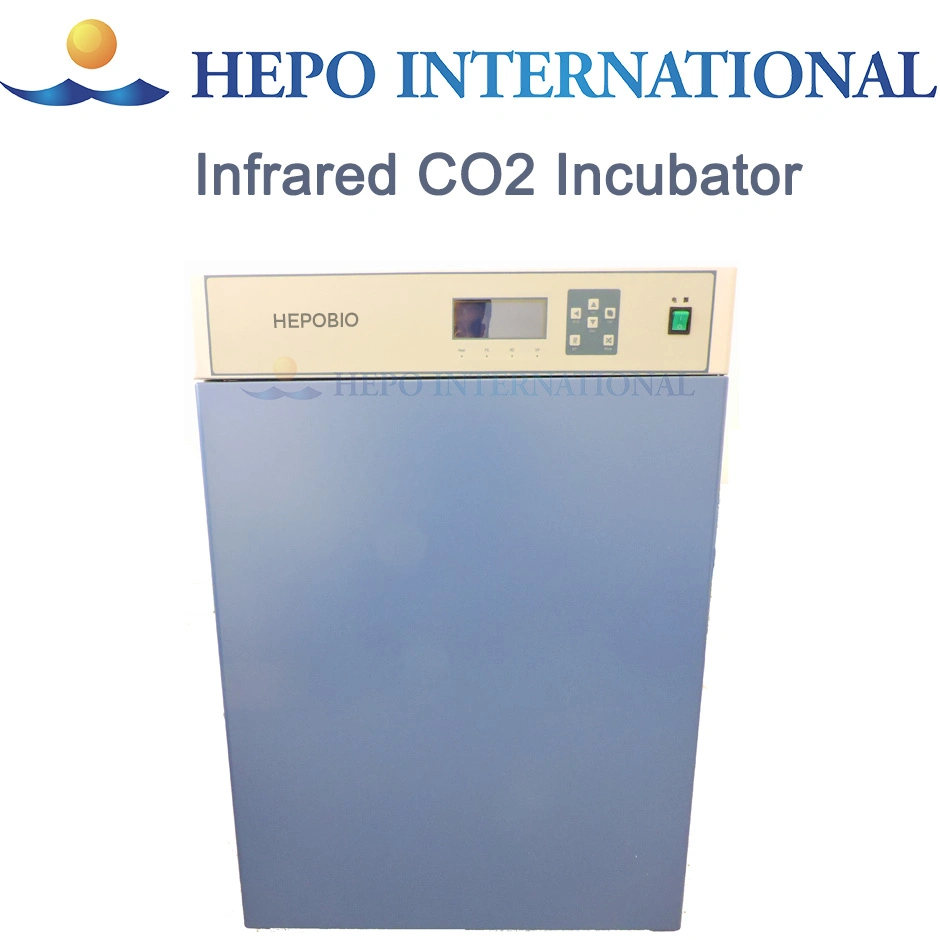 Water Jacket Electrical Heating Laboratory CO2 Incubator