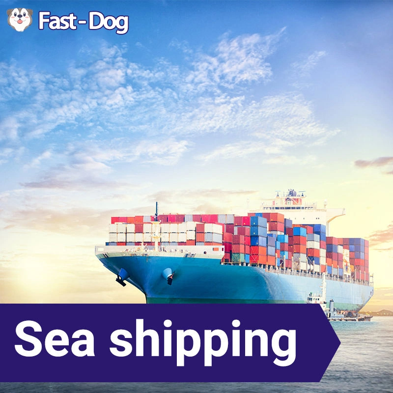 Cheap Sea Freight International Shipping Forwarding Agent in Shenzhen to USA Canada UK Italy Mexico Germany France DDP