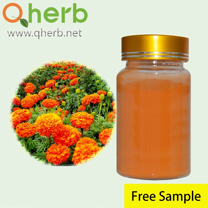 Colorante natural de alta qualidade 5% extração de Lutein Zeaxantina de Pétalas de flores Marigold para comida