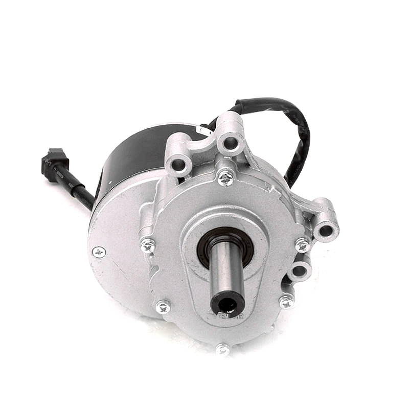 120rpm 160rpm 75rpm Hot Sale DC 24V 250W Electric Vehicle Motor