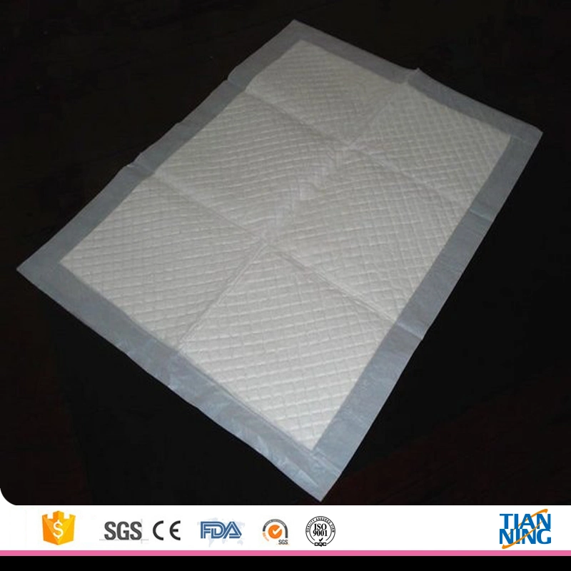 Anti-Slip Pet Dog Puppy PEE Potty Training Pads Floor Clean Protective Original Factory Promotion Sheet Pad OEM Manufacturer Wholesale/Supplier