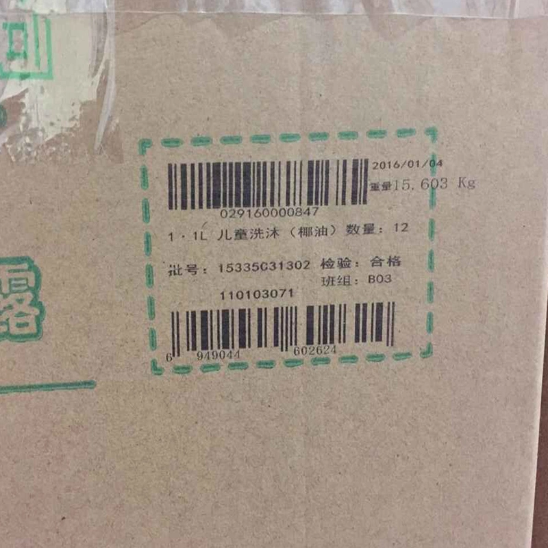 Food Bag Expiry Date High Resolution Inkjet Printer (ECH800)