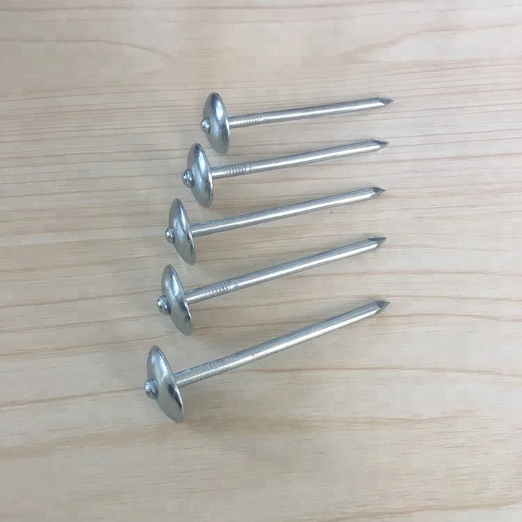 Direct Price Reliable Factory Umbrella Head Roofing Nails with Colorful Rubber Washer