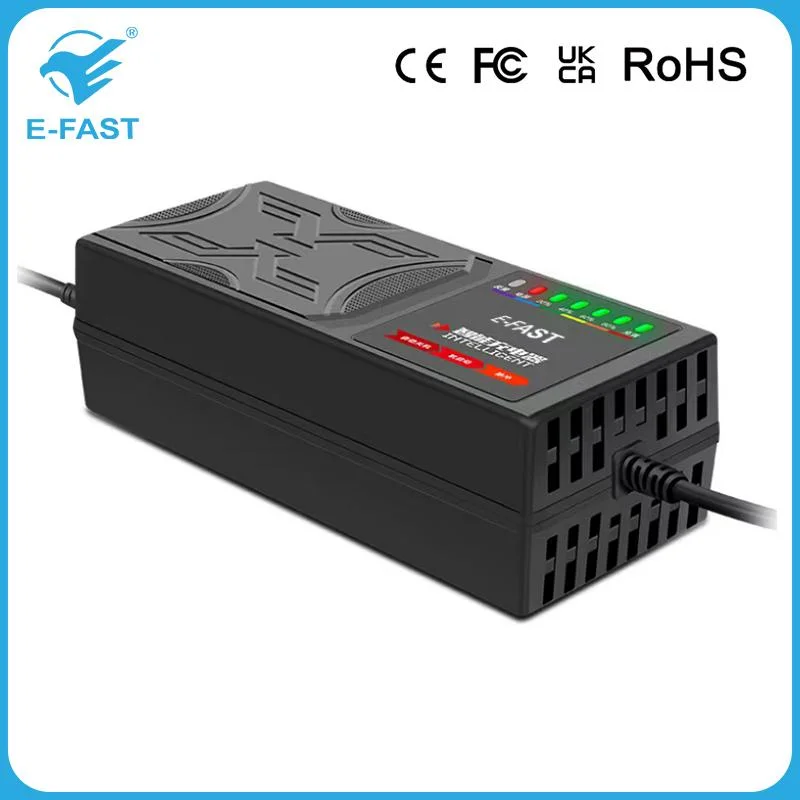 OEM E-Fast 48V 45ah Lead Acid Battery Charger for E-Bike E-Scooter Tricycle