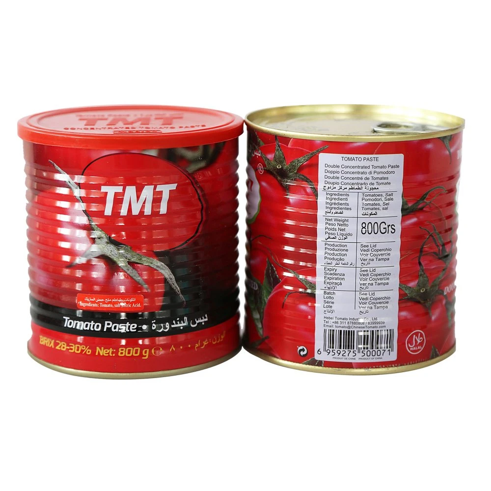 Canned Tomato Paste Manufacturer Double Concentration