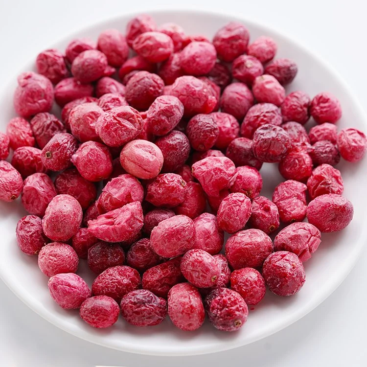 China Freeze Dried Cranberry, Berries, Fruits