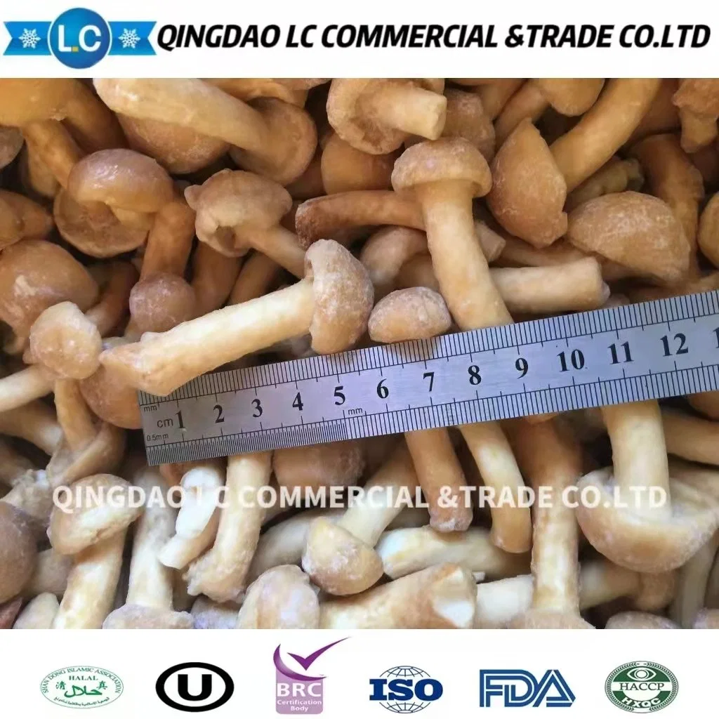 Fresh Organic Frozen Nameko Mushroom, IQF Nameko Mushroom with Wholesale/Supplier Price