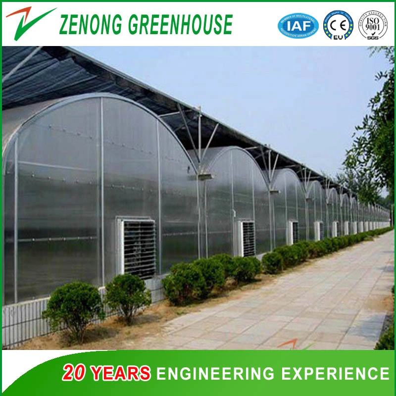 China Professional Multi-Span PE/Po Film Plastic Greenhouse for Hydroponic Growing/Experiment