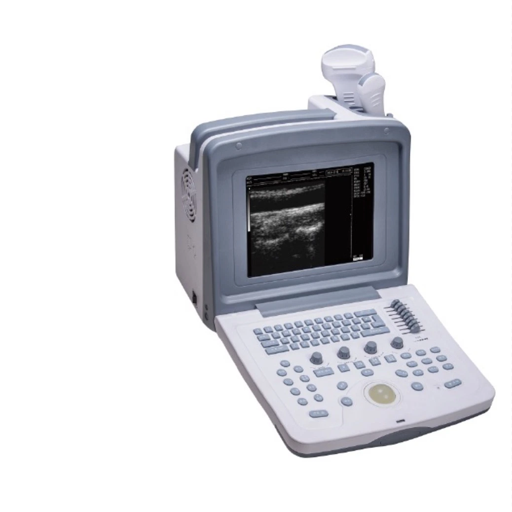 Ultraschall-Scanner Für Tierärzte