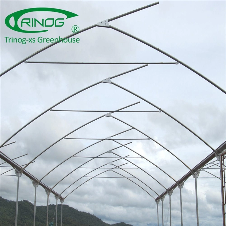 Factory Price Multi-Span Film Agriculture Greenhouse