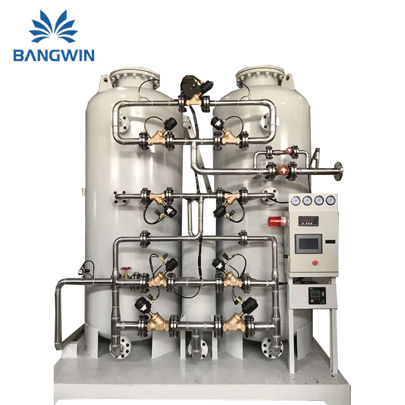 Bw Nitrogen Plant 3nm3/Hr Nitrogen Gas Generator for Food Preservation