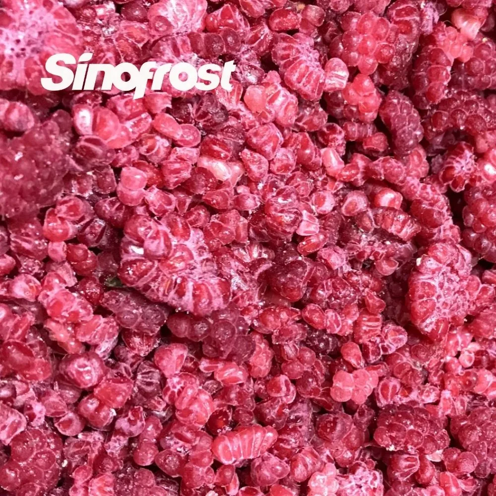 Надежных поставщиков замороженных ягод: Sinofrost Supplies Premium IQF красная малина Brokens оптовых экспортера наследия/Fertodi/US22