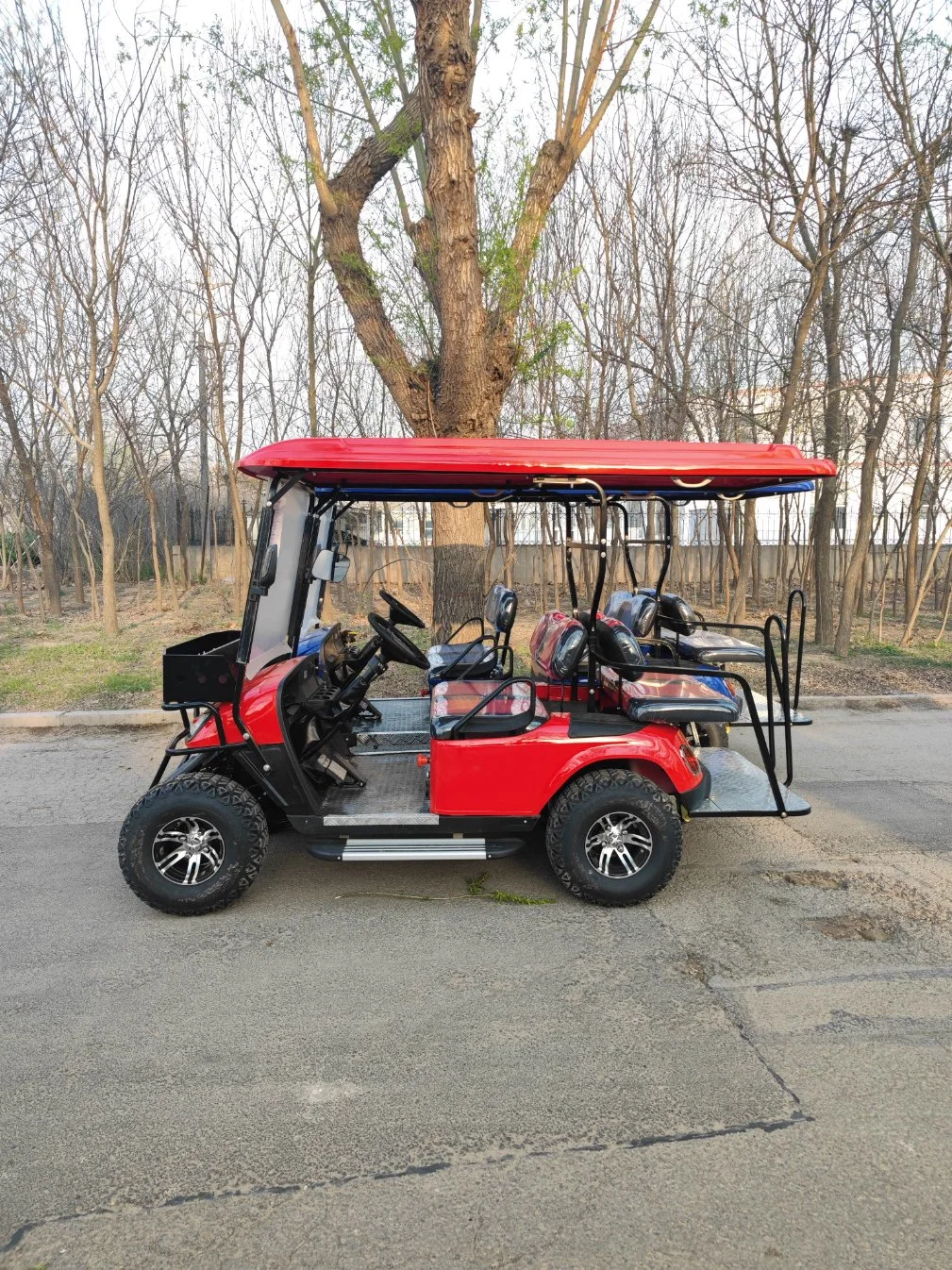 4 Person 6 Person Gas Golf Cart Electric Golf Cart with Storage Basket