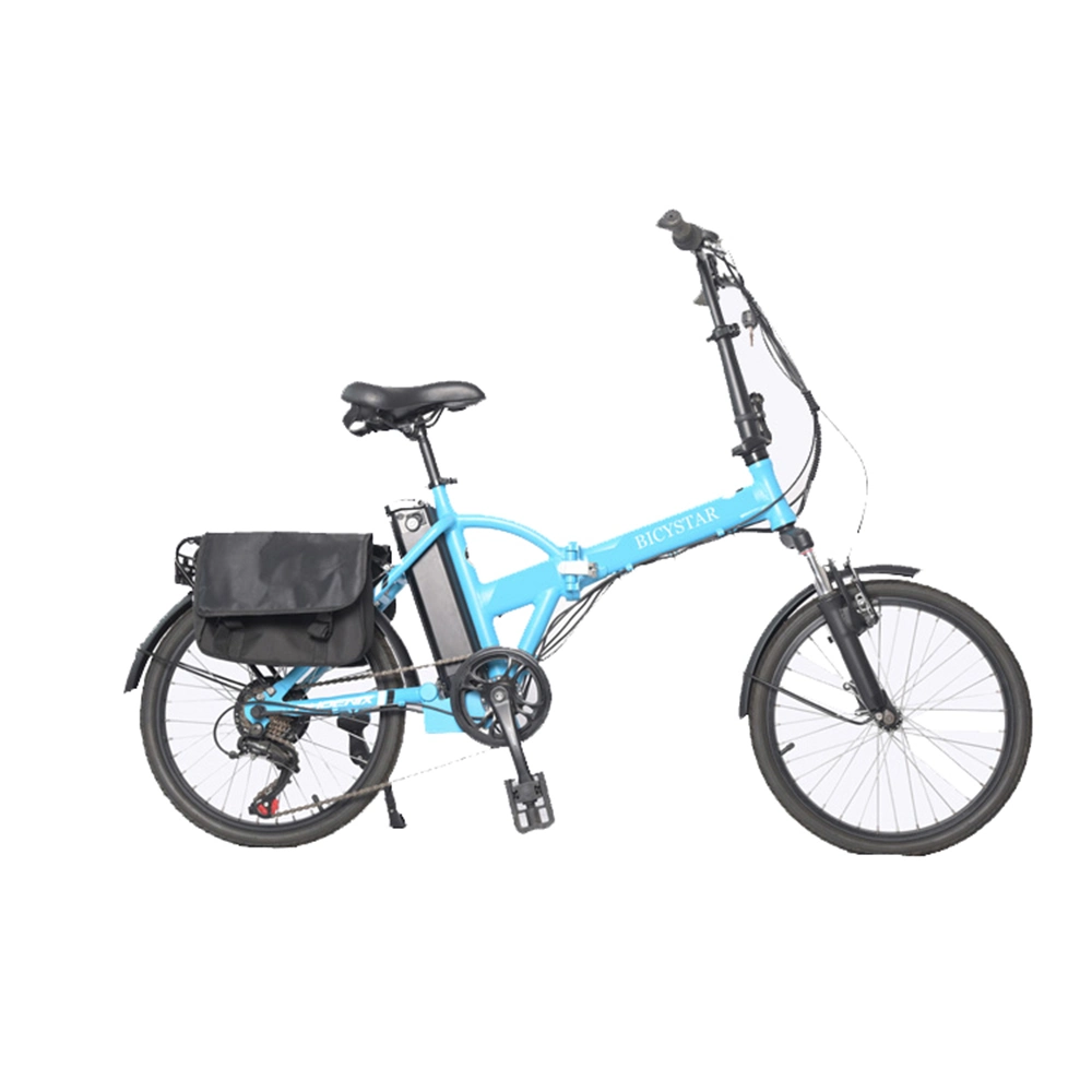 Custom Ebike Electric Bicycle 1000W 48V