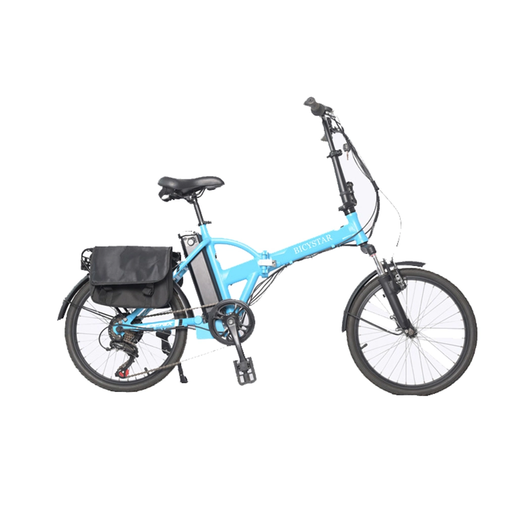 Custom Ebike bicicleta eléctrica 1000W 48V