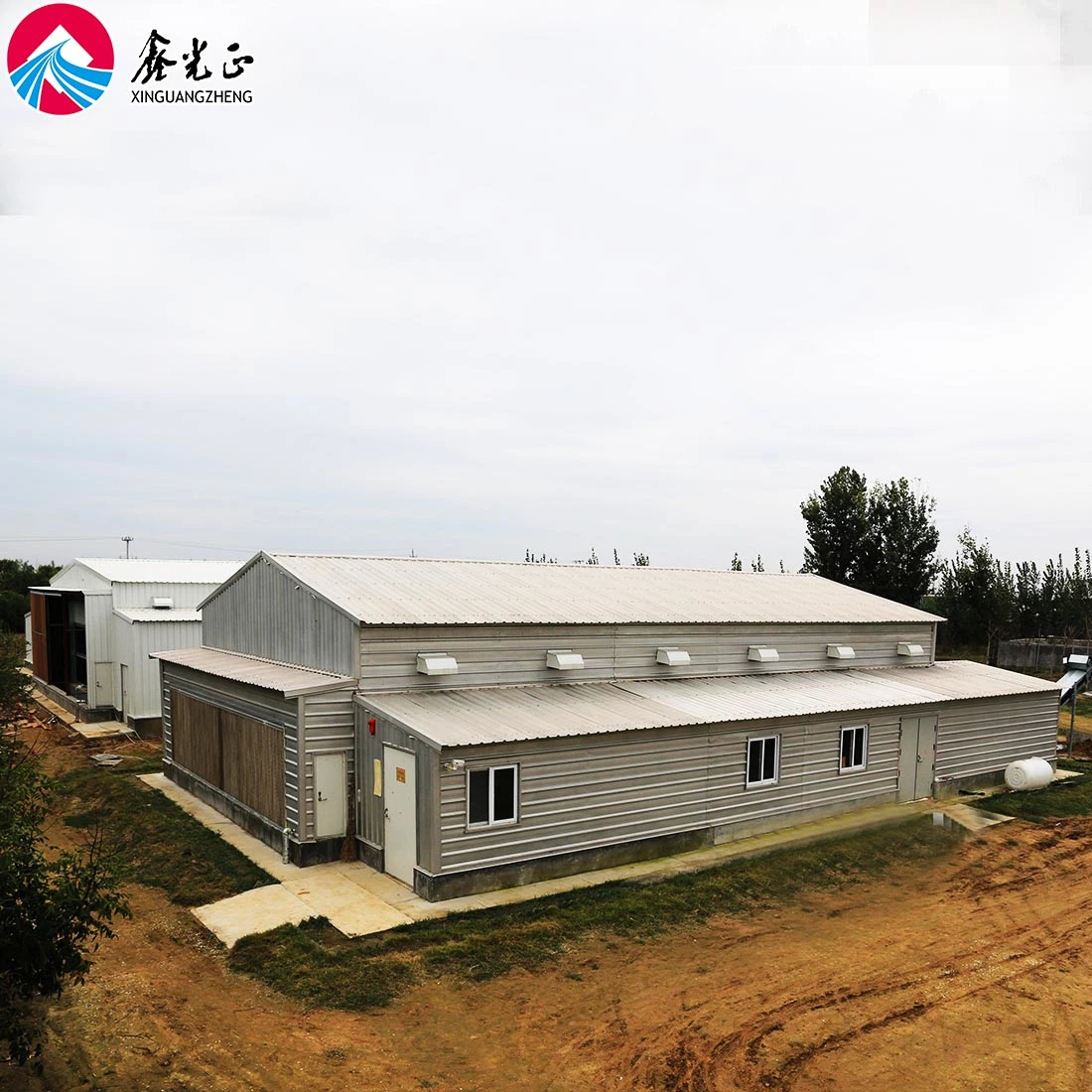 Chicken Poultry Farms House with Automatic Equipment