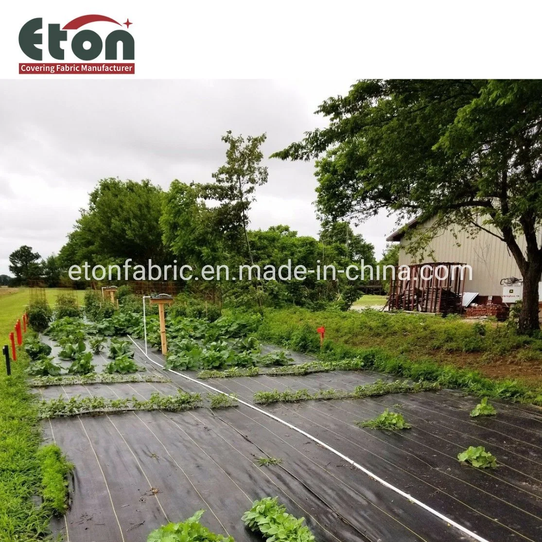 6X100m PP/PE Anti Grass Cloth Black Garden Weed Barrier Ground Cover