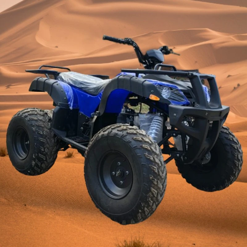 Высокое качество 200cc CE 10дюйма Racing с электроприводом для взрослых 4 Колеса Quad Bike