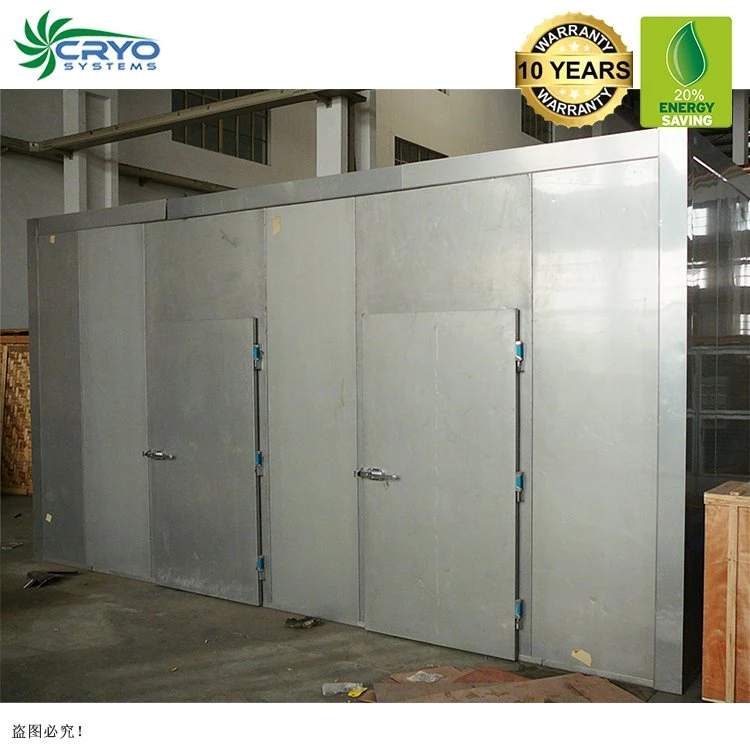 Coldroom Refrigeration Unit Big Room Cold Storage Processing Room Ice Cream Cooling Room