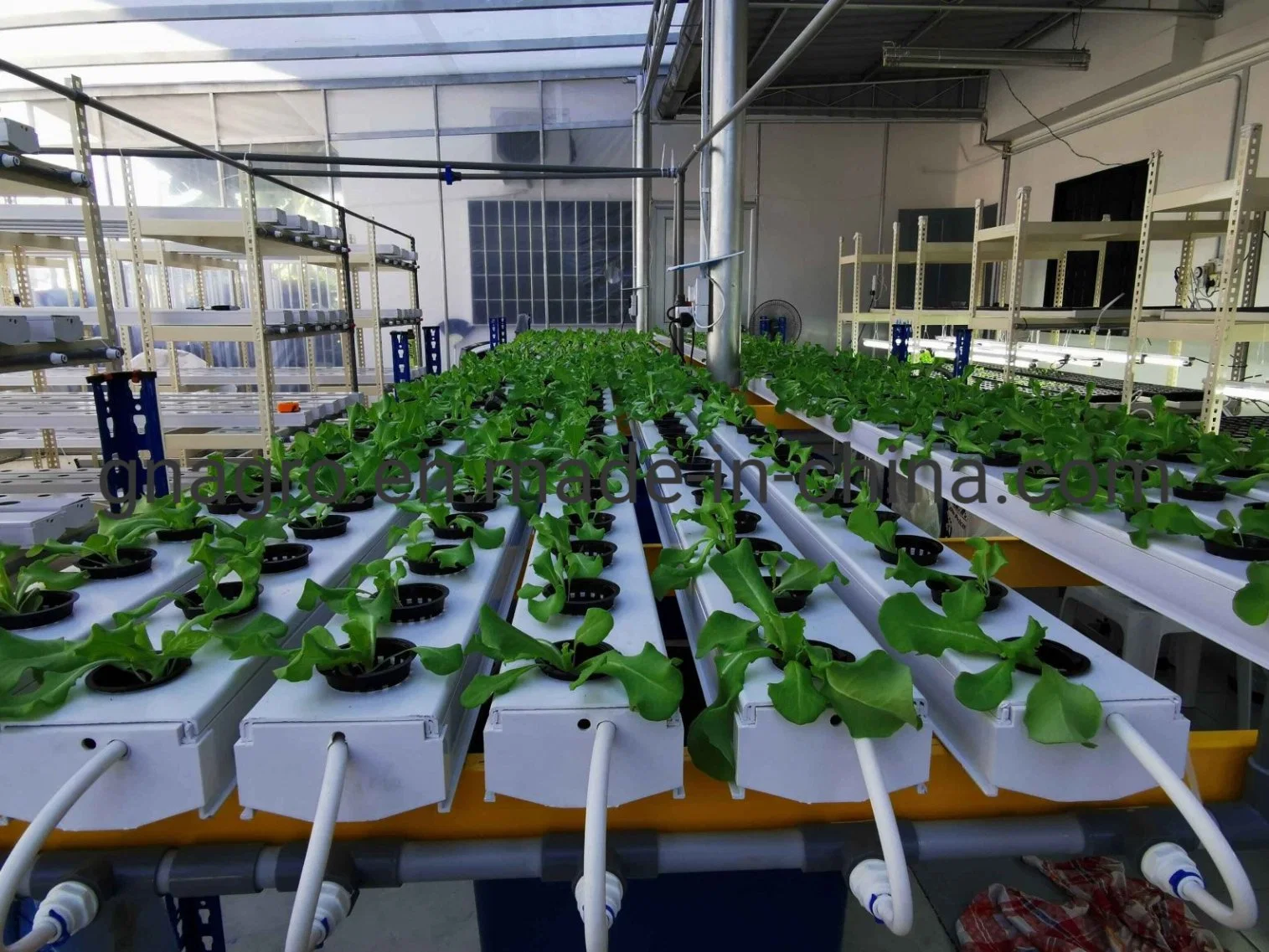 نظام PVC Hydroponic القطع الزراعية تحرق الخضروات