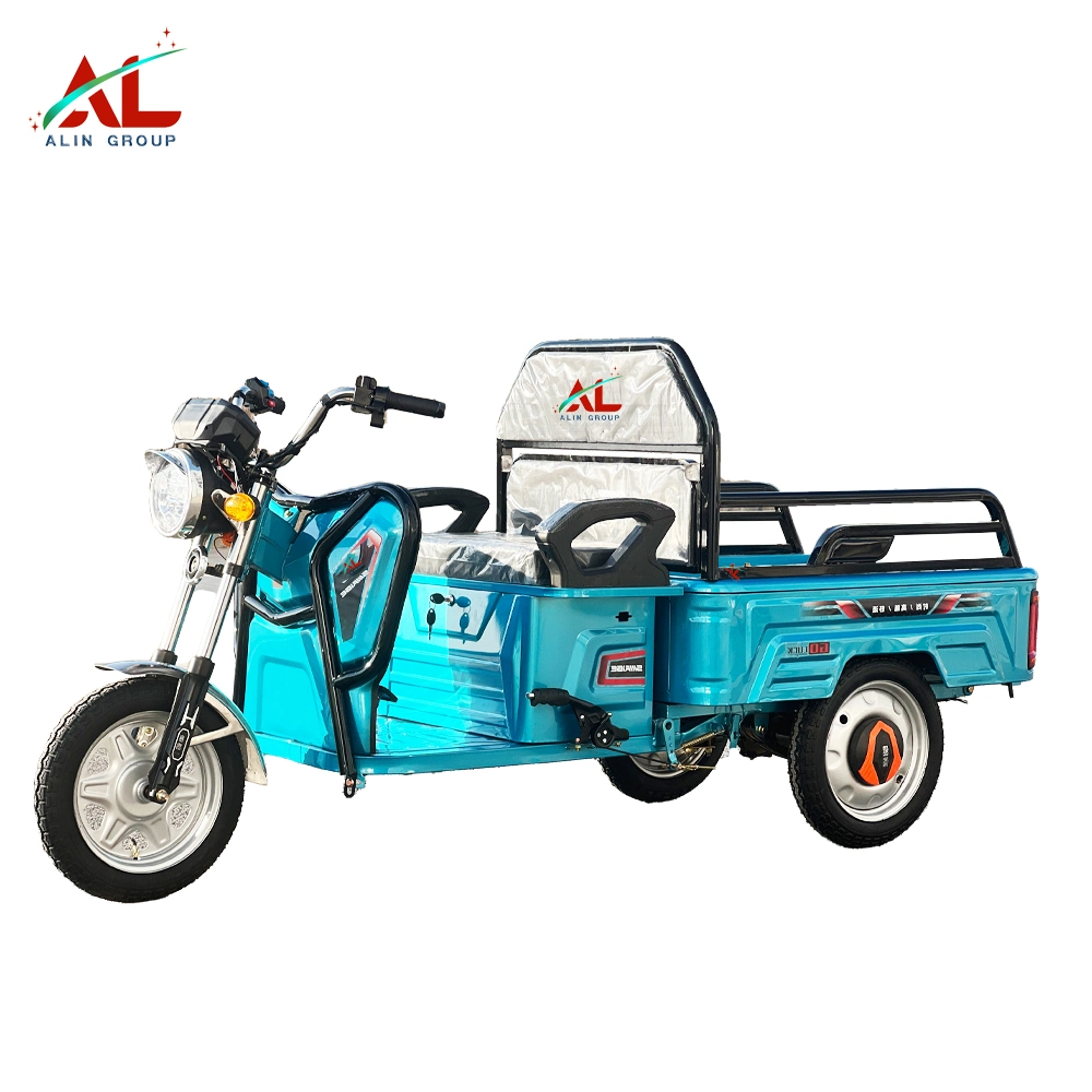 Мини-электрический груза инвалидных колясках Малые грузовые Trike