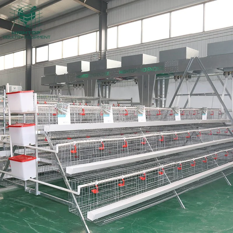 Poultry Farm Dimension for 1000 Chicken Layer Cage Guangzhou