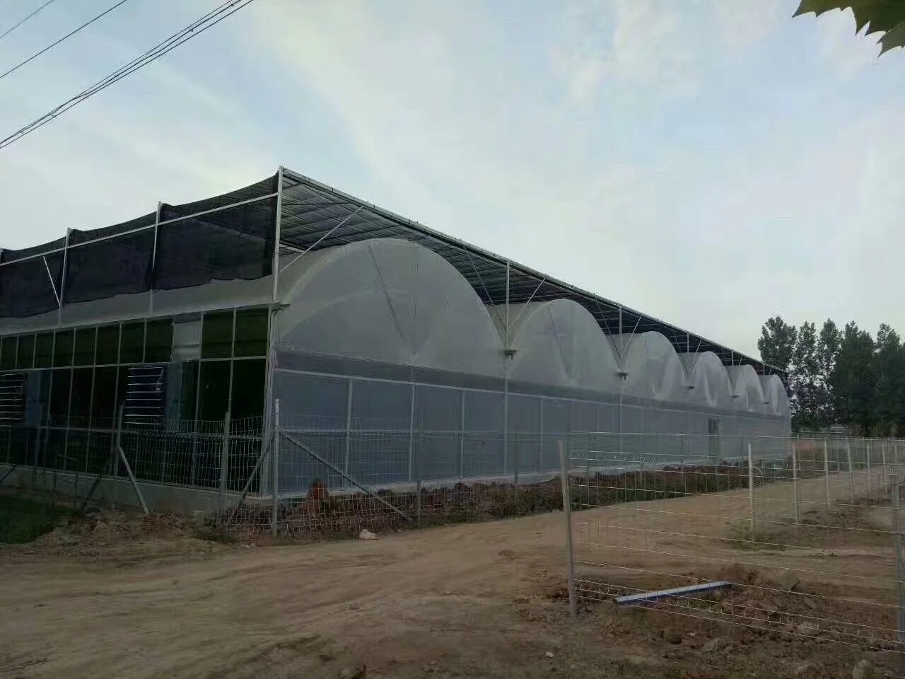 High quality/High cost performance  Custom Poly Tunnel Multi Span Galvanized Steel Tube Frame Green House