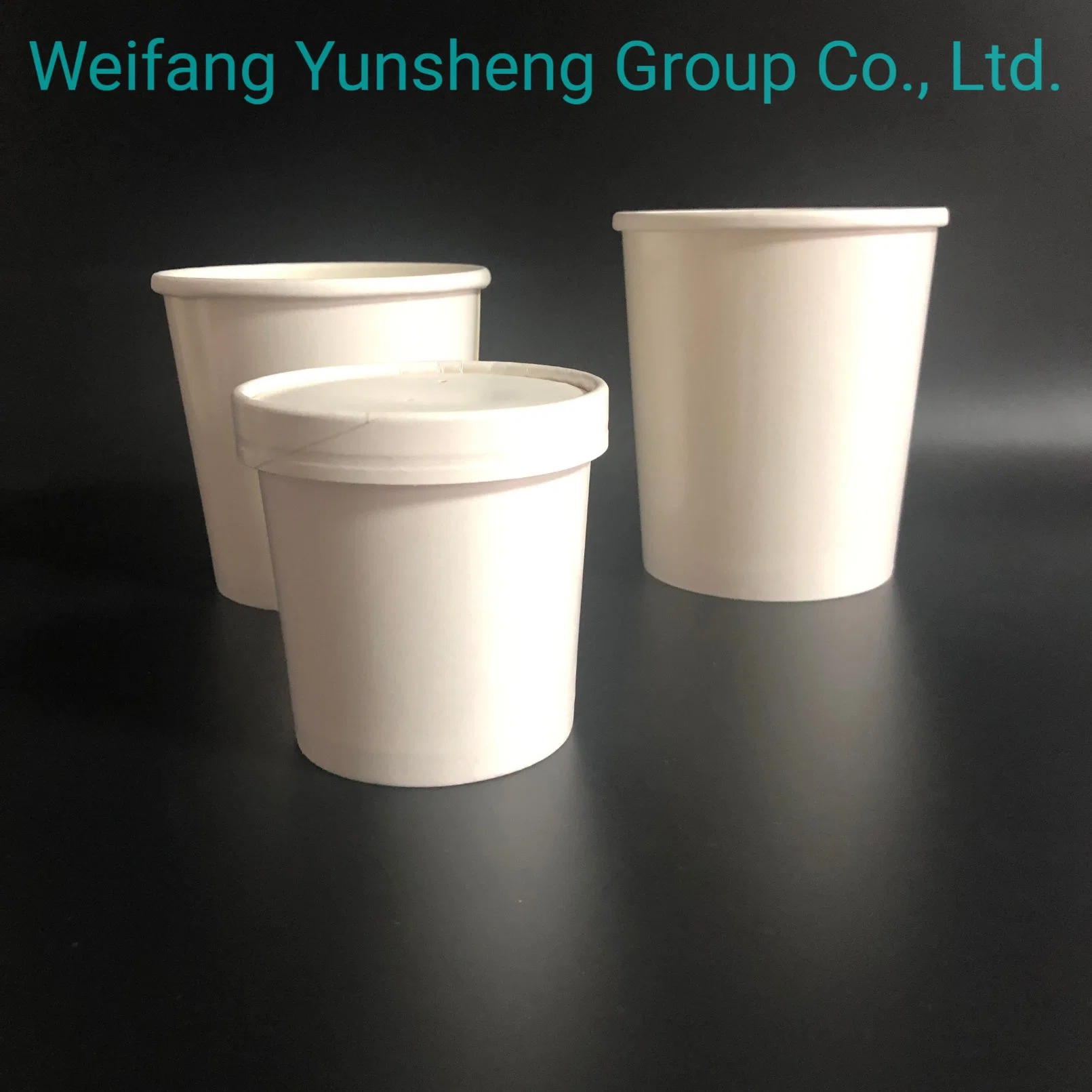 Soup Cup/Container with Lid Soup Take Away Containers Disposable Tableware Manufacturer