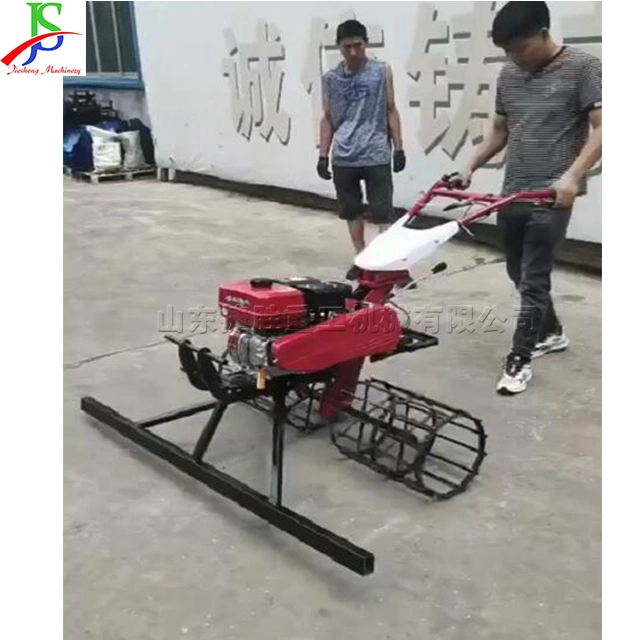 Engineering Pavement Bridge Construction Hand Push Concrete Floor Paver