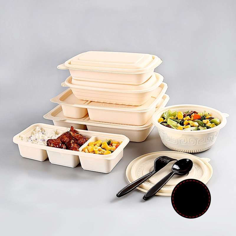Dispos Lunch Gift Packaging for Biodegradable Bamboo to Carry Food Box