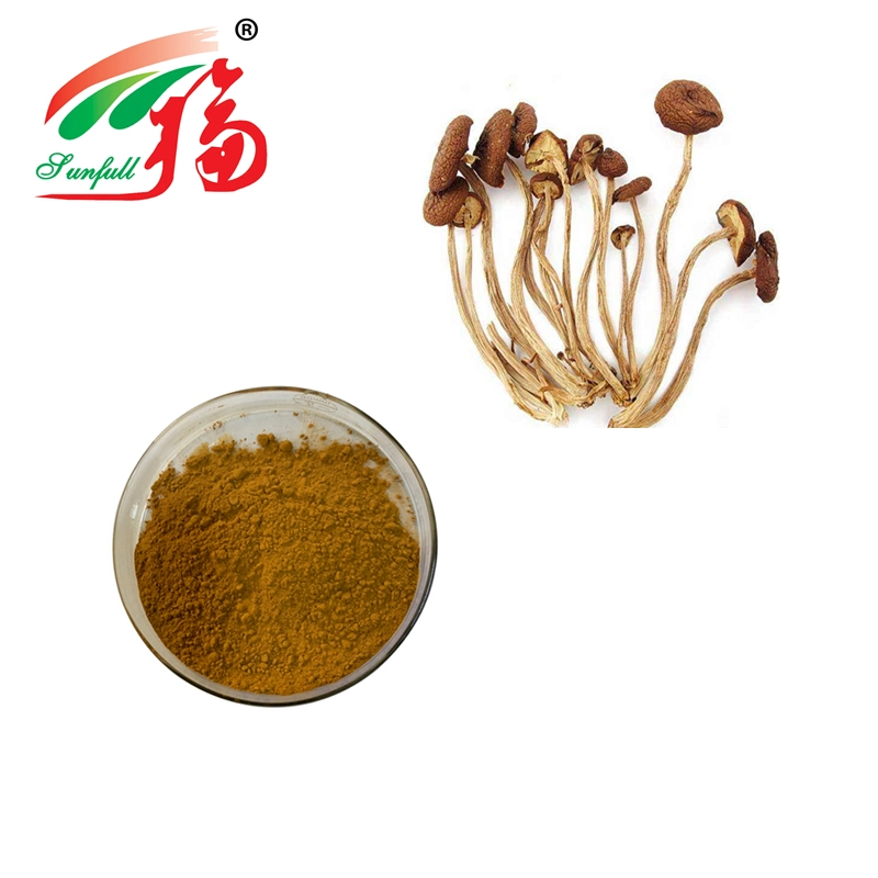 High Quality Agrocybe Chaxingu Extract 20% Polysacchrides Mushroom Extract