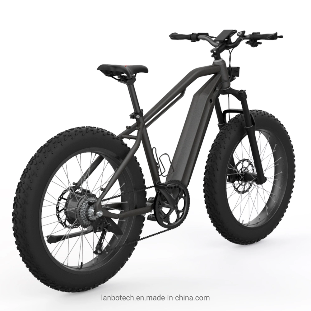 Vélo de montagne électrique de tous les terrains Ebike
