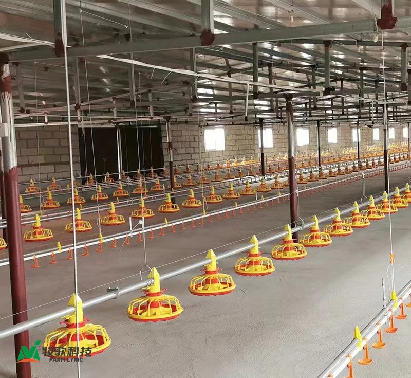 Low Price Custom Automatic Feeding Line Farming Equipment Poultry Facilities