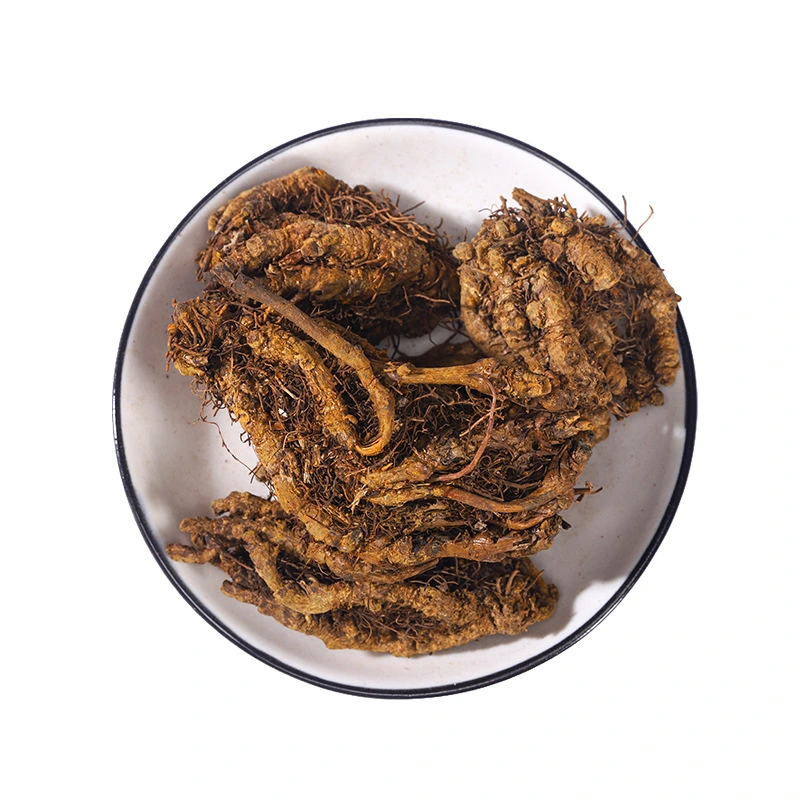 Huang Lian Chinese Goldthread Wild Chinese Herbs Medicine Dry Coptis Chinensis Root Slice Rhizoma Coptidis