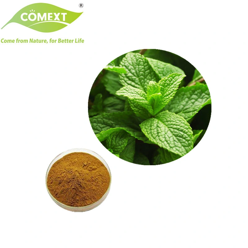 Comext ISO Factory Lyphar Supply Directly 100% 5: 1 10: 1 20: 1 Natural Melissa Extract Lemon Balm Extract