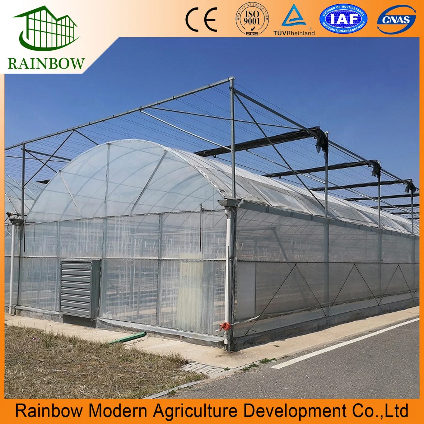 Commercial Multi Span Plastic Film Green House for Vegetable Growing