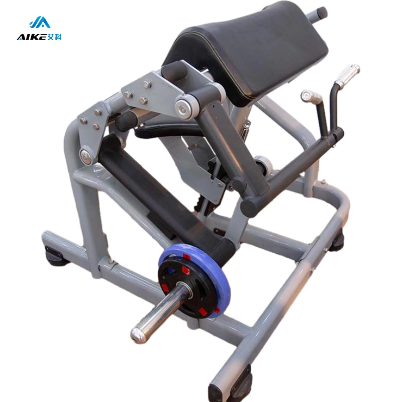 2021 Latest Commercial Fitness Machine with Strong Body, Biceps Curl Fitness Equipment