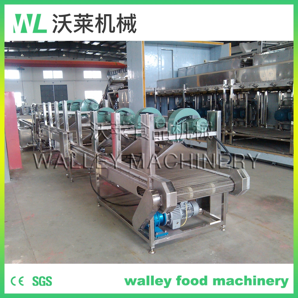 China Vegetable Surface Water Blowing Machine Blower