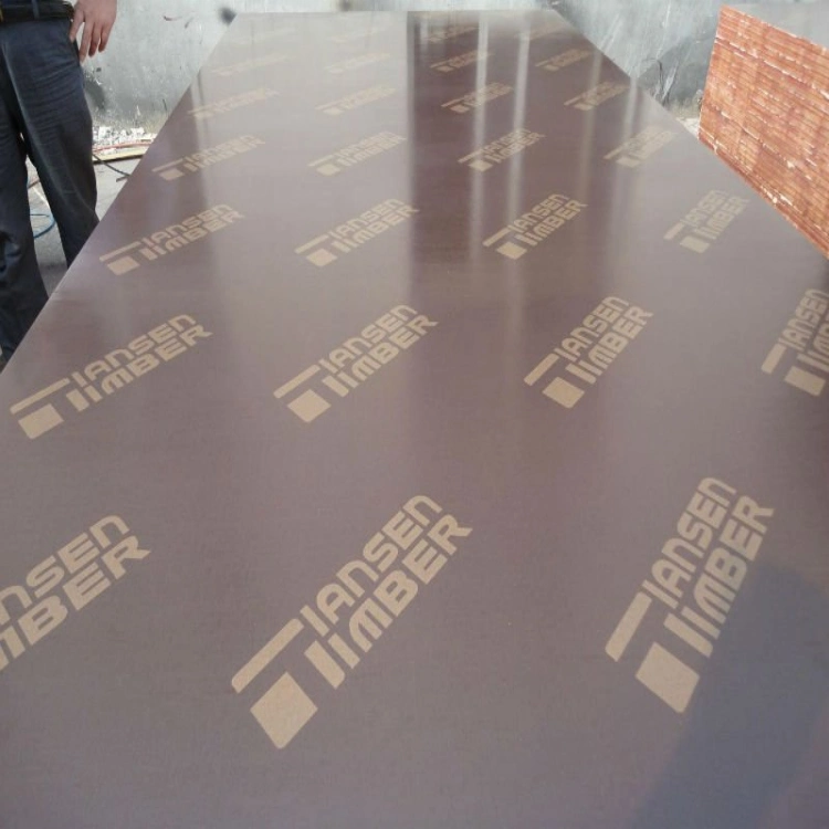 1250*2500*18mm WBP Glue Construction Material Film Faced Plywood for Europe Market