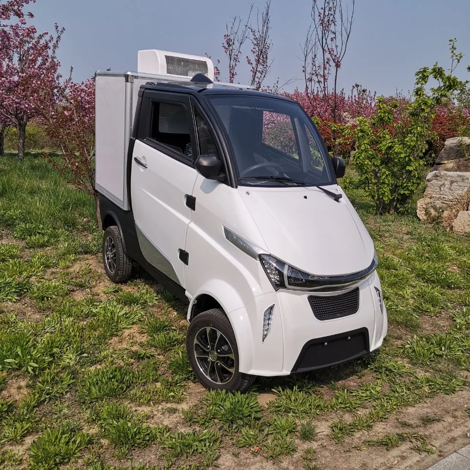 Certificado de la CEE coche eléctrico de carga logística