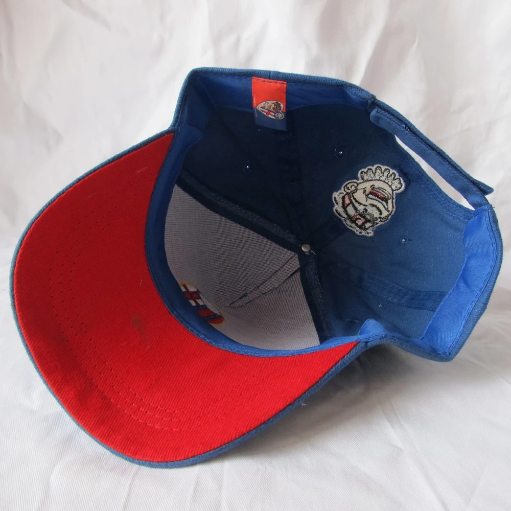 Zp002 Customized Blue Color Baseball Cap with Embroidery for Italy Club